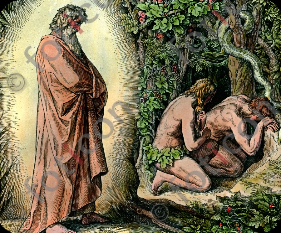 Adam und Eva verbergen sich vor dem Angesicht des Herrn | Adam and Eve hide themselves from the presence of the Lord  (foticon-simon-045-009.jpg)